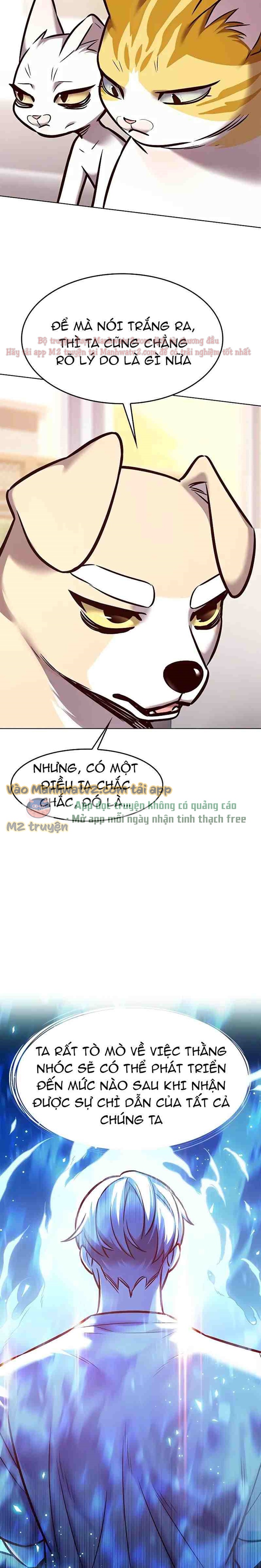 Đọc truyện Hóa thân thành mèo (Bản Free) - Chap 285